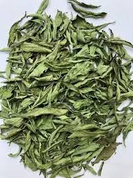 Stevia (Meethi Tulsi)