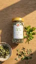 Stevia (Meethi Tulsi)